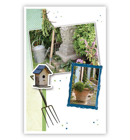 Tuin en vogelhuisje Tuin en vogelhuisje