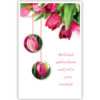 Roze tulpen Roze tulpen