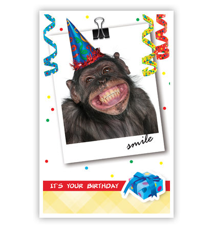 Aap met feestmuts Aap met feestmuts