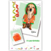Hondje met oranje-groen jasje Hondje met oranje-groen jasje