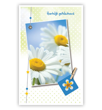 Witte bloemen, stippen achtergrond Witte bloemen, stippen achtergrond