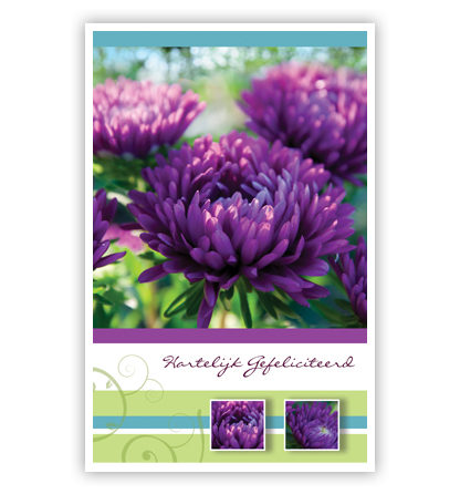 Paarse bloemen