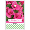 Roze bloemen Roze bloemen