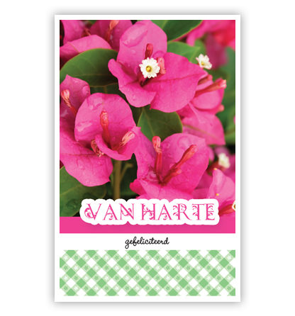 Roze bloemen