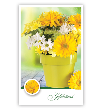 Groene pot met gele bloemen