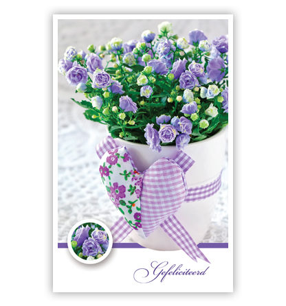 Lila bloemen in pot Lila bloemen in pot
