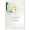 Witte roos Witte roos