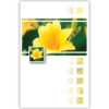 Gele, lelieachtige bloem Gele, lelieachtige bloem