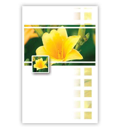 Gele, lelieachtige bloem Gele, lelieachtige bloem