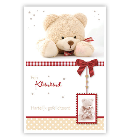 Knuffelbeer met rood geblokt lint en rode strik Knuffelbeer met rood geblokt lint en rode strik