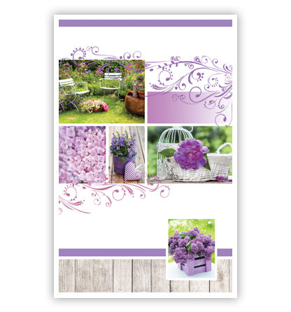 Tuin en paarse bloemen Tuin en paarse bloemen