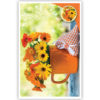 Oranje bloemen Oranje bloemen
