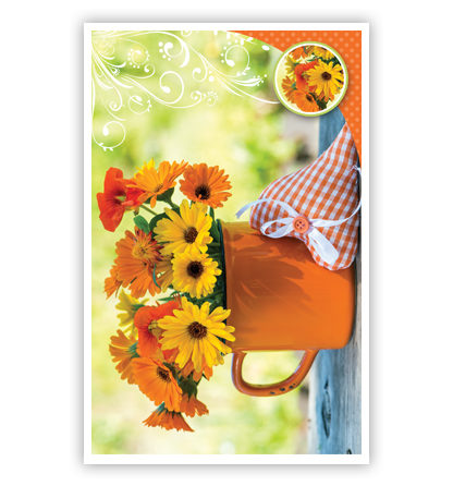 Oranje bloemen Oranje bloemen