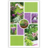 Collage met paarse bloemen en groene vlakken Collage met paarse bloemen en groene vlakken