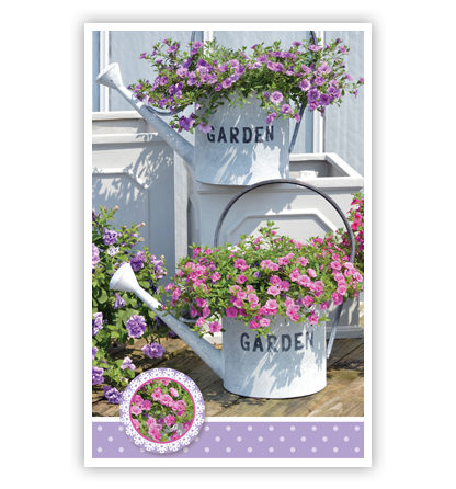 Witte gieters met bloemen Witte gieters met bloemen