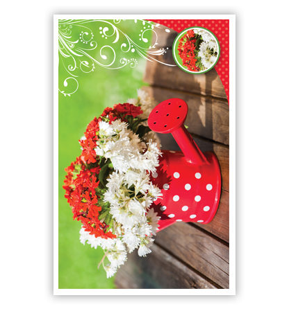 Rode gieter met witte en rode bloemen Rode gieter met witte en rode bloemen