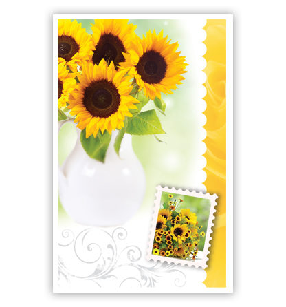 Zonnebloemen