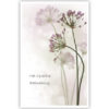 Paarse bloemen Paarse bloemen