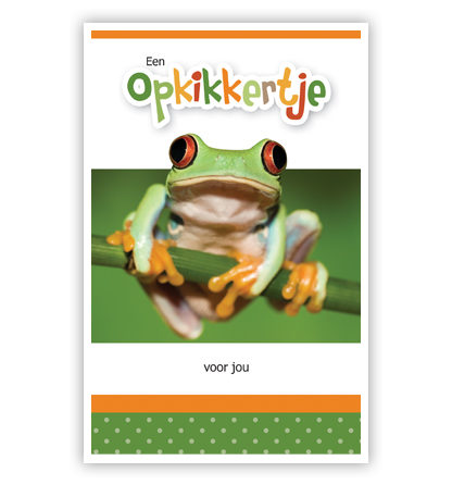 Kikker op tak