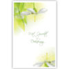 Witte bloemen Witte bloemen