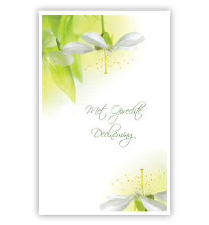 Witte bloemen