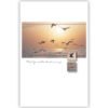 Vogels Vogels