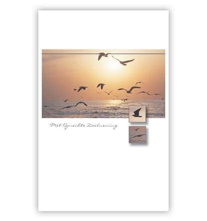 Vogels