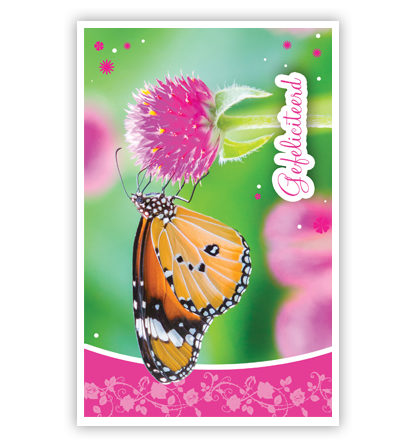 Vlinder op roze bloem