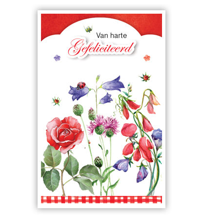 Rode en paarse bloemen Rode en paarse bloemen
