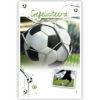 Voetbal in net Voetbal in net