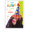 Aap met feestmuts Aap met feestmuts