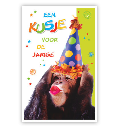 Aap met feestmuts Aap met feestmuts