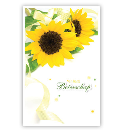 2 Zonnebloemen en lint 2 Zonnebloemen en lint