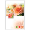 Oranje rozen en 3 blokje rechts onderin Oranje rozen en 3 blokje rechts onderin
