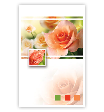Oranje rozen en 3 blokje rechts onderin Oranje rozen en 3 blokje rechts onderin