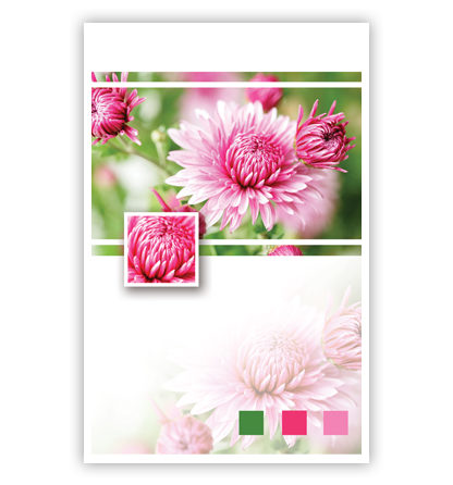 Roze bloemen en 3 blokje rechts onderin Roze bloemen en 3 blokje rechts onderin