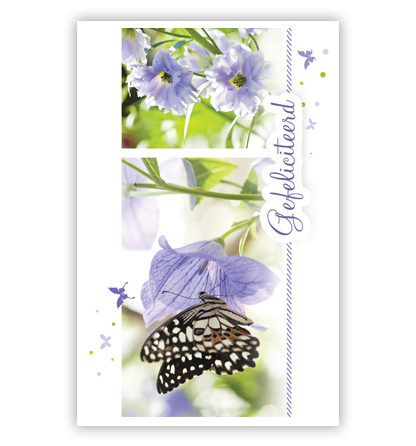 2 plaatjes met paarse bloemen en vlinders 2 plaatjes met paarse bloemen en vlinders