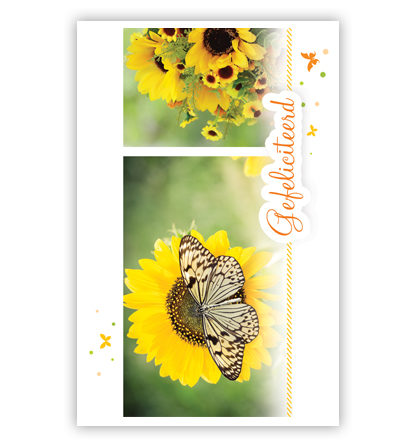 2 plaatjes met zonnebloemen en vlinders 2 plaatjes met zonnebloemen en vlinders