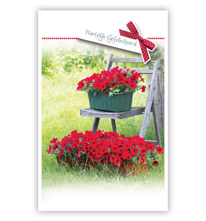 Rode bloemen bij en op stoel Rode bloemen bij en op stoel