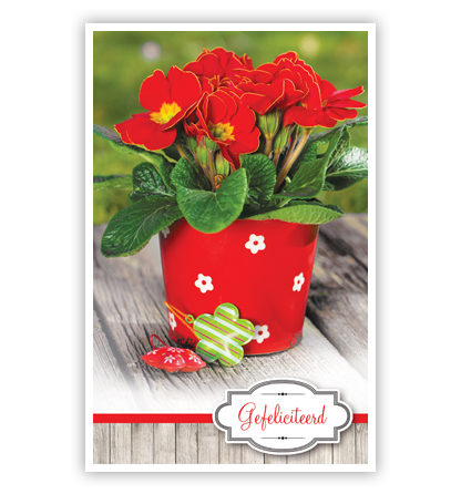 Rode bloemen in rood potje Rode bloemen in rood potje