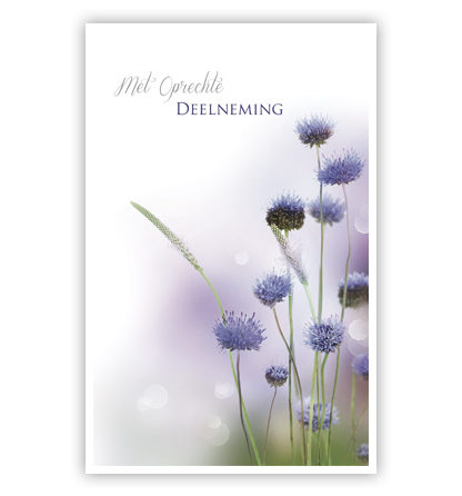 Paarse bloemen Paarse bloemen