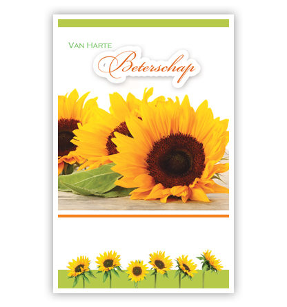 Zonnebloemen