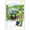 Paarse bloemen op een hekje Paarse bloemen op een hekje