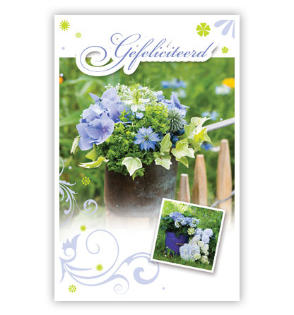 Paarse bloemen op een hekje Paarse bloemen op een hekje