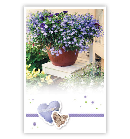Paarse bloemen op wit stoeltje Paarse bloemen op wit stoeltje