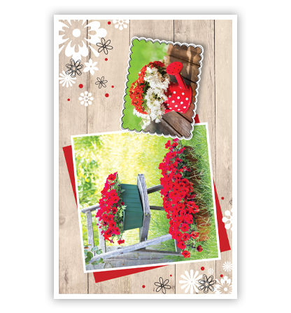 Rode bloemen op houten achtergrond Rode bloemen op houten achtergrond