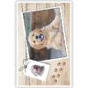 Golden retriever op foto en label Golden retriever op foto en label