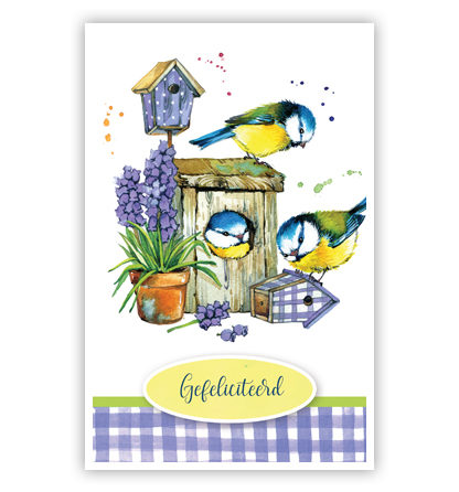 3 Vogeltjes bij vogelhuisjes 3 Vogeltjes bij vogelhuisjes