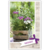 Bloemen in houten kist Bloemen in houten kist