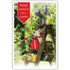 Bloemen en gieters op ladder Bloemen en gieters op ladder